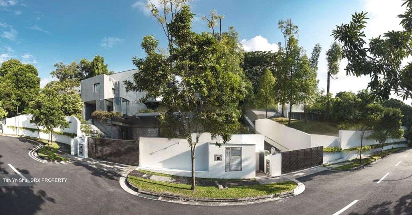 Braddell Heights Estate (D13), Detached #467805841